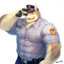 salute.png