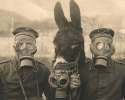 Two-German-soldiers-and-their-mule-wearing-gas-masks-in-WWI-1916.jpg
