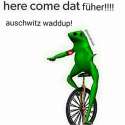 image.jpg