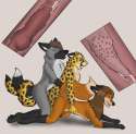 zooohilic MMF wolf cheetah fox 2_2.png
