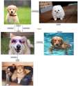 chart.jpg