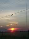 IMG_20160619_205525.jpg