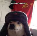 5QxwBo6.jpg