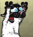 no more catnip.png