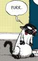 purr.png