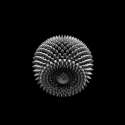 120515.gif