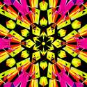 1456336020177.gif