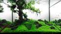 3rd-TreeScape-post.jpg