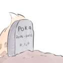 popopoka.png