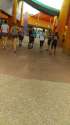 IMAG0044.jpg