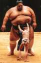 bump-sumo.1232912369452.jpg
