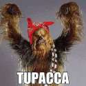 tupacca.jpg
