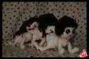 sockhumancentipede.jpg
