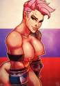 1903328 - Overlook Zarya atryl.png