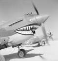 112_Squadron_RAF_Tomahawks_Egypt_IWM_CM_1339.jpg
