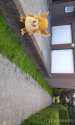 IMG_2016-07-06-18230040.png