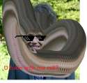auke lol.png