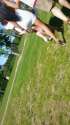 20150605_120331_581.jpg