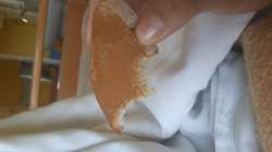 20160707_182234.jpg