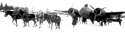 Finnish-horses-tow.png