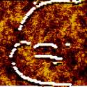 kill me.png