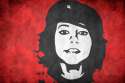 boxxy_00264807.jpg
