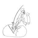 r.png