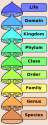biological classification.png