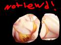 yanglewd.png