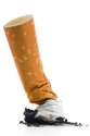Cigarette_Butt_standing_on_end.jpg