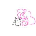 pinis.png