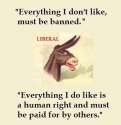 libtards 456345.png