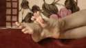 GoddessFootTeasingHD.gif
