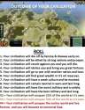 civilizationgame.png