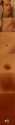 tumblr_o20bosS1Nz1v7qa5bo1_zoom.jpg