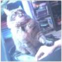 ss+(2015-05-17+at+12.04.10).jpg
