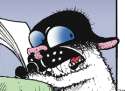 bucky katt unplugged.png