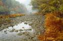 wallhaven-1363.jpg