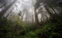 wallhaven-12350.jpg