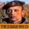 triggered1.jpg