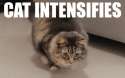 1468070499018.gif