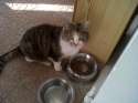 IMG00019-20140416-1858.jpg