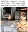 1471550575174.jpg