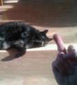 bff0d16255fec6093d71ae6925bee110.jpg