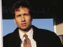 Fox-Mulder-fox-mulder-30923059-1024-768.png