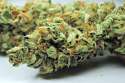 platinumkush.jpg