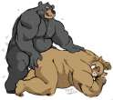 m_1443742033254_bear_fucks_boar.jpg