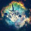 spacecat.jpg