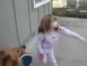 33805.gif