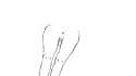 freehand.png